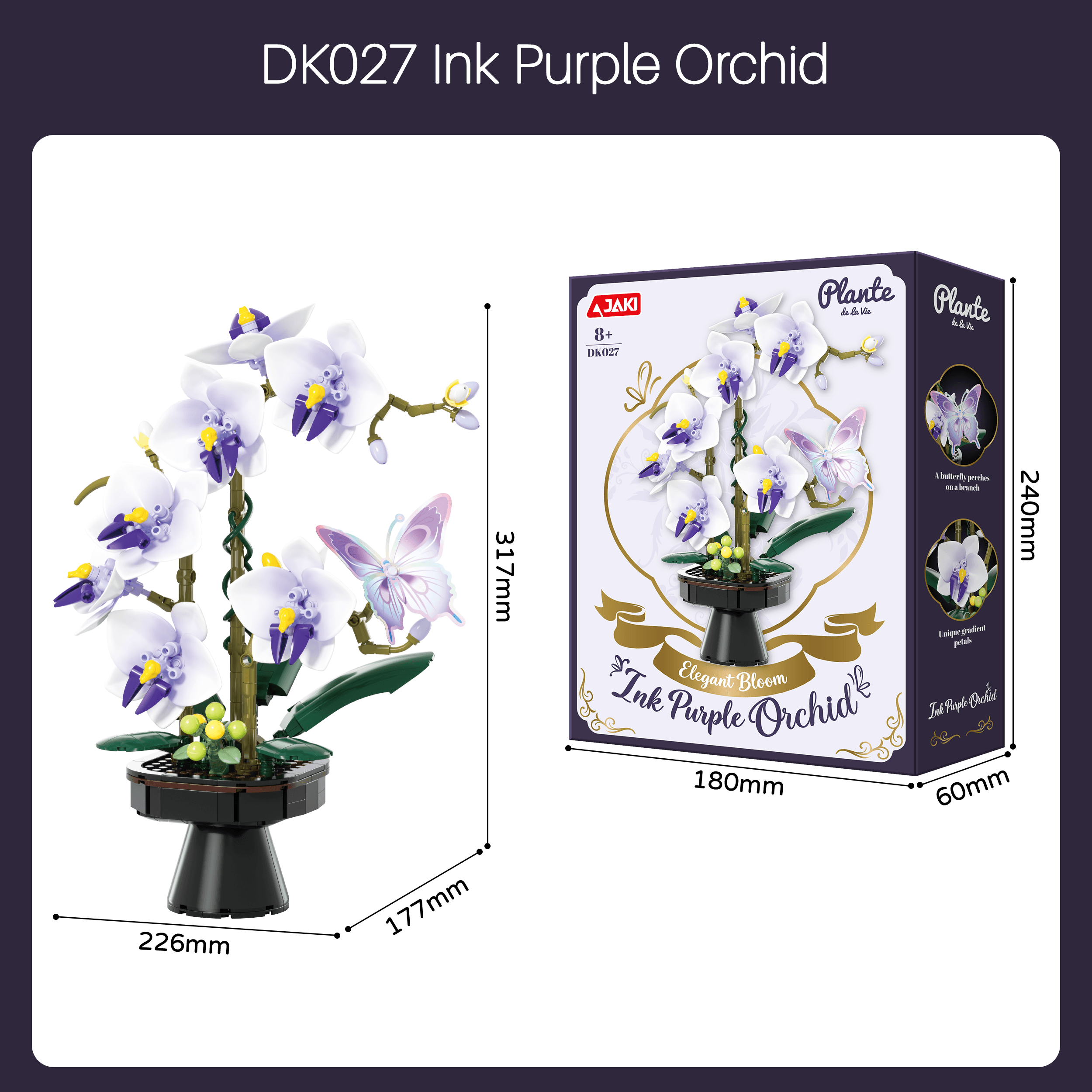 Mozhi Phalaenopsis – English Factory Edition