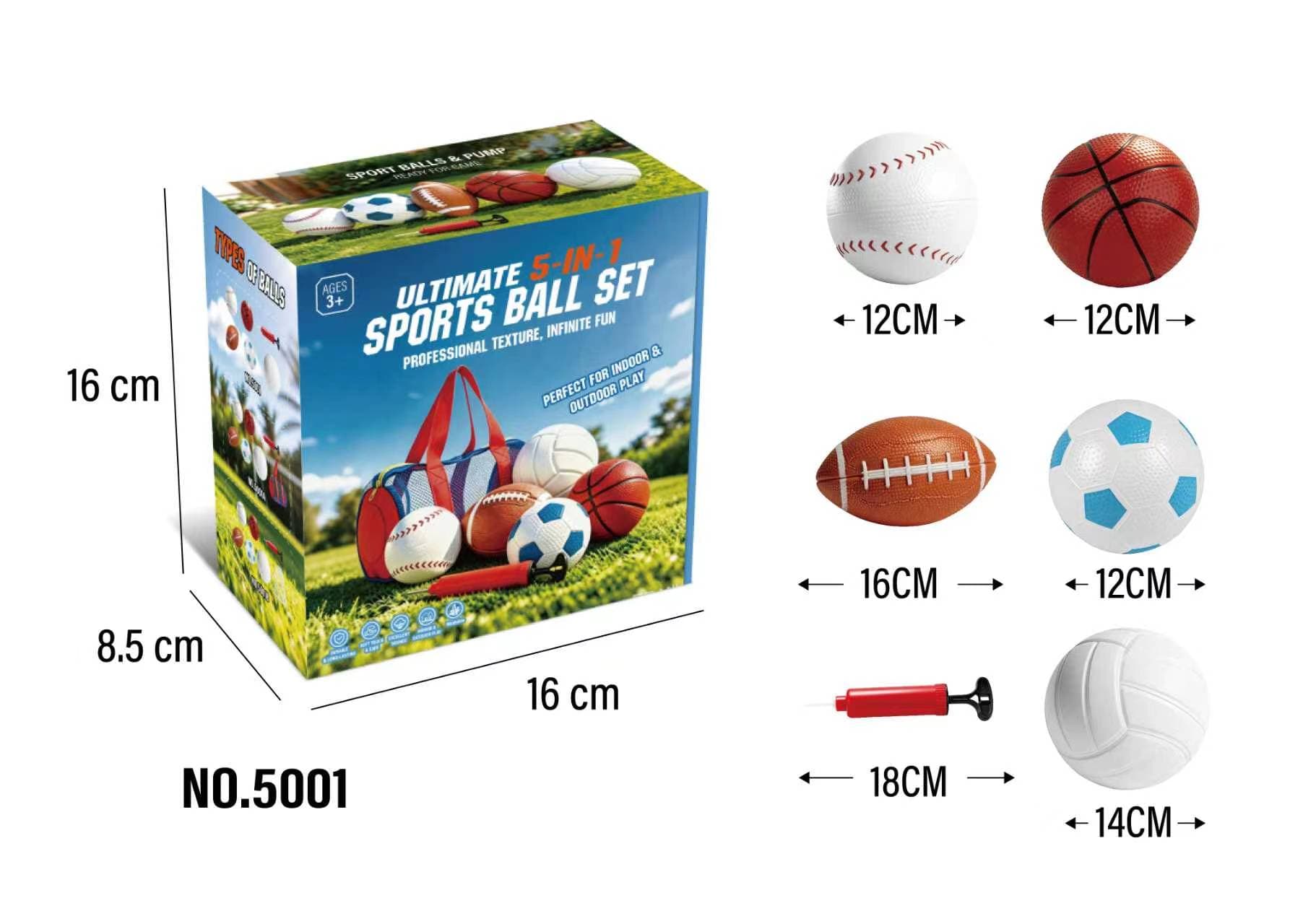 Sports Basketball Set of 5 (Includes Air Pump)