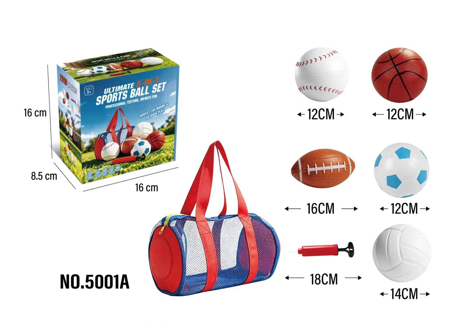 Sports Ball Set (Includes Net Bag + Air Pump)