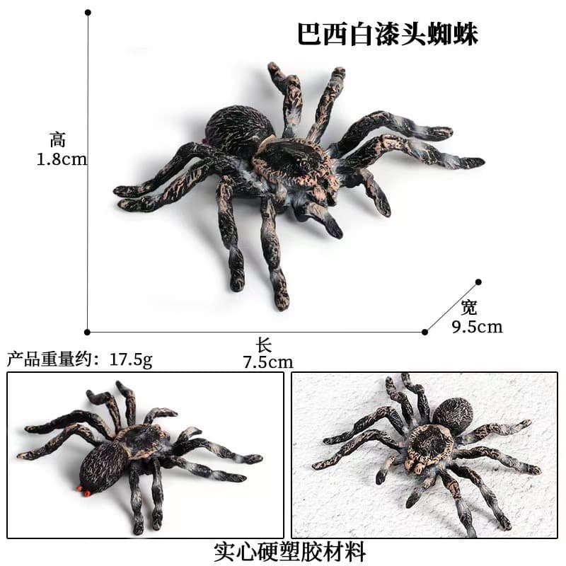 White Painted Spider Solid Realistic Model