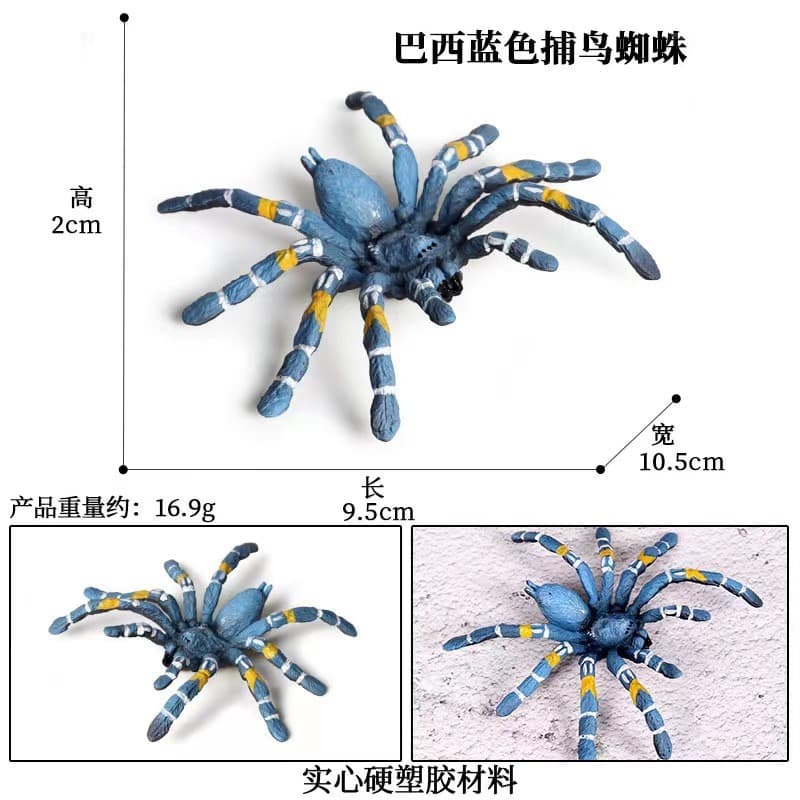Blue Spider Realistic Solid Model