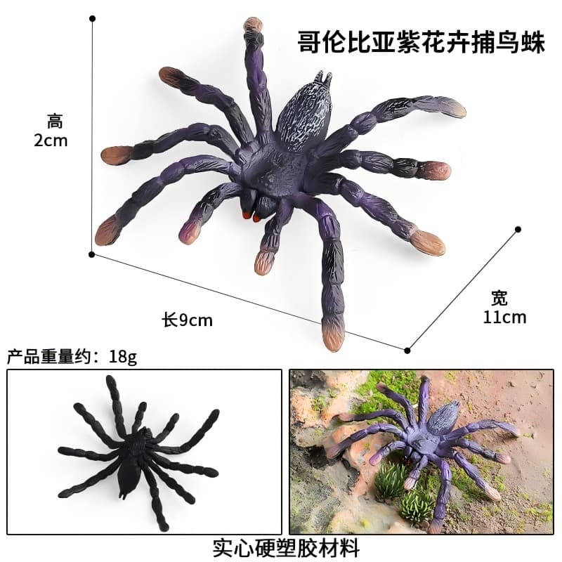 Colombian Purple Flower Tarantula Realistic Solid Model